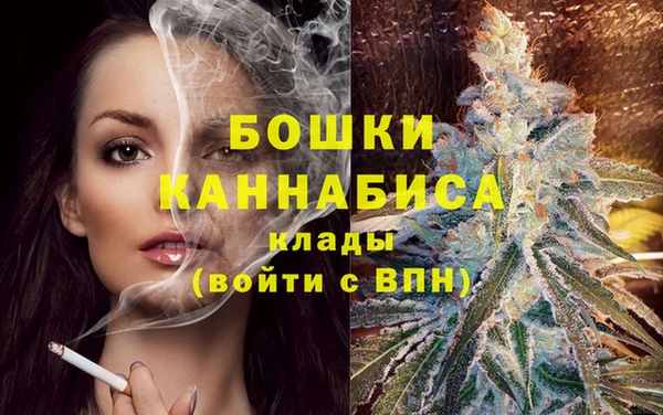 стафф Чита