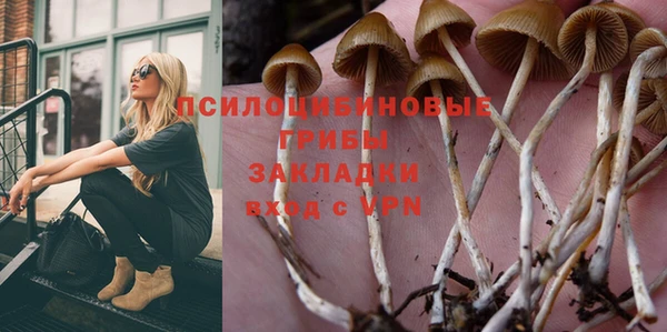 круглые Краснослободск