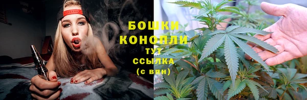 гидра Киров