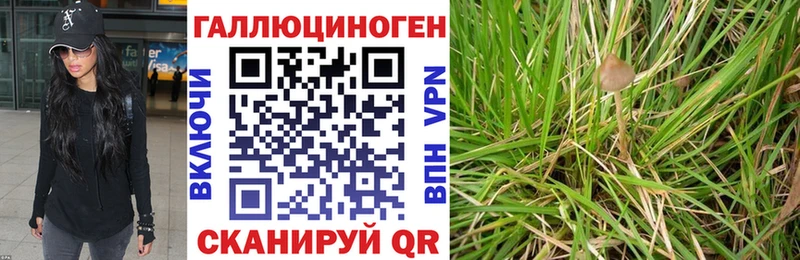 гидра   Афипский  Галлюциногенные грибы Magic Shrooms  хочу  
