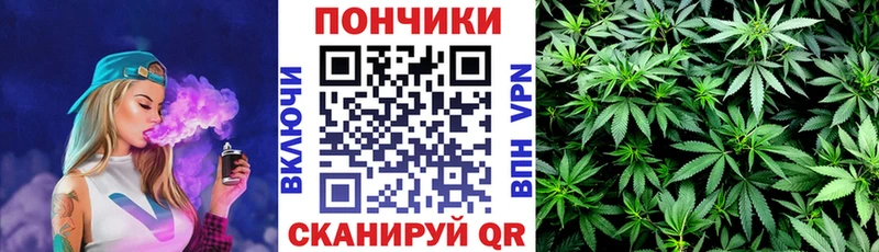Шишки марихуана планчик  Афипский 